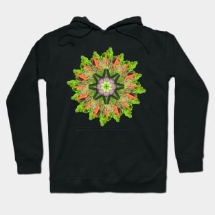 veggies mandala Hoodie